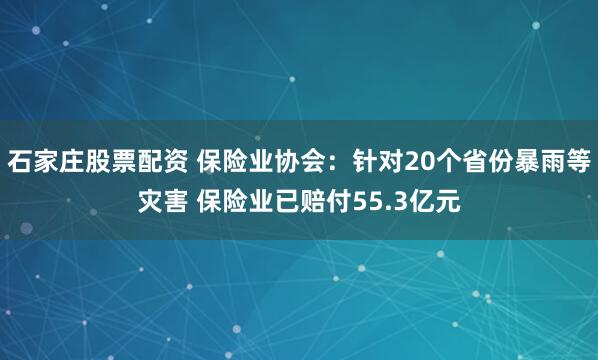 石家庄股票配资 保险业协会:针对20个省份暴雨等灾害 保险业已赔付55.3亿元